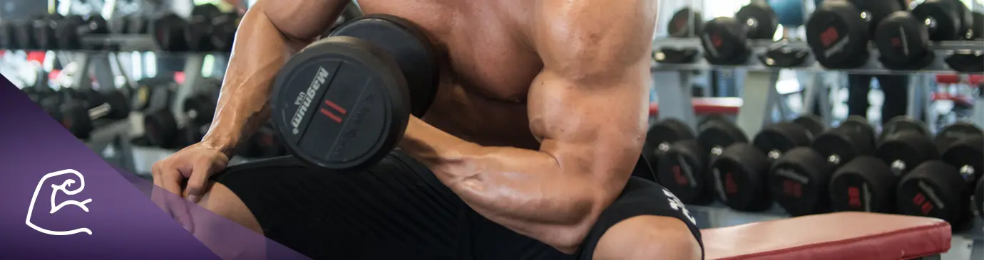 o_230_20161219094117