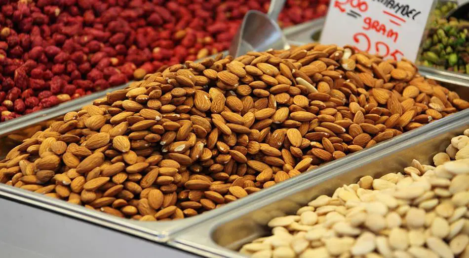 Graines oléagineuses - BioTechUSA