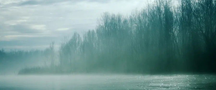 o_frosty-472871_960_720_20161221111517