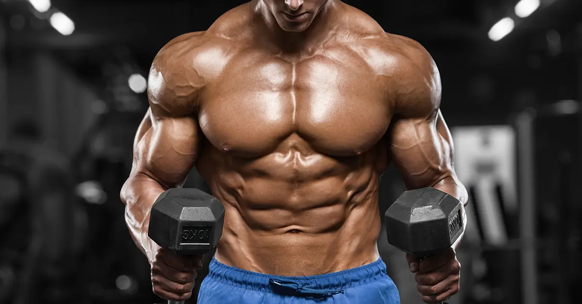 o_header_20181212095428