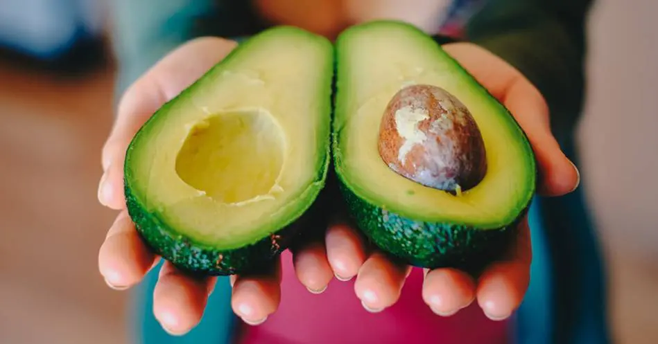 o_header_20190429122856