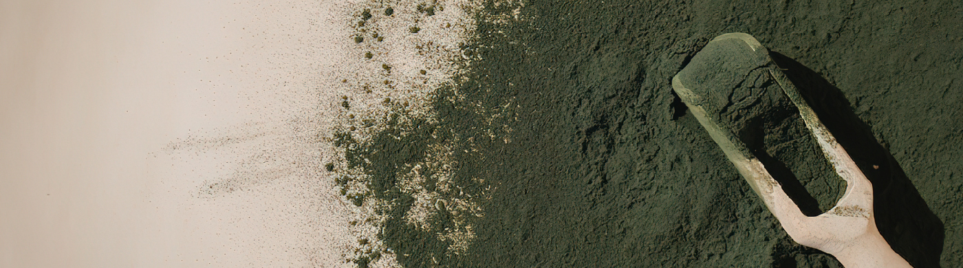 Spiruline et cholestérol : effets et bienfaits prouvés