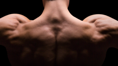 Transformer graisse en muscle : En combien de temps ?