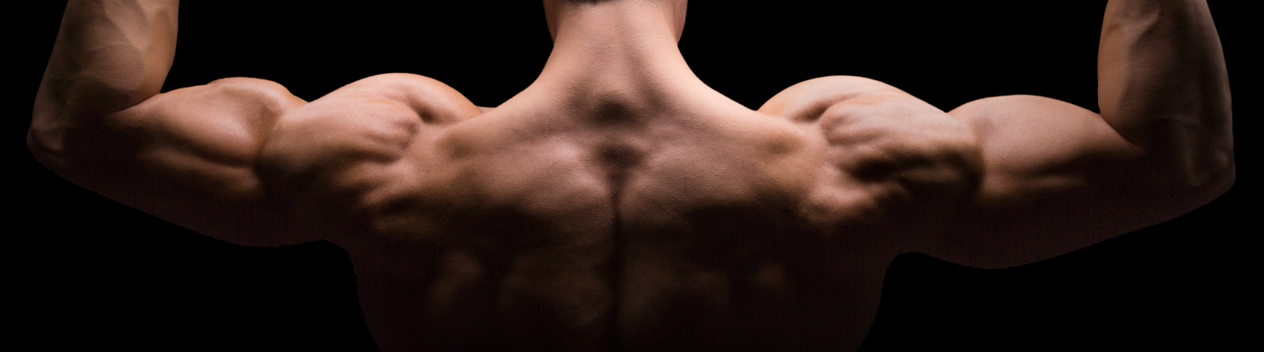 Transformer graisse en muscle : En combien de temps ?