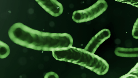 Quand prendre les probiotiques ?