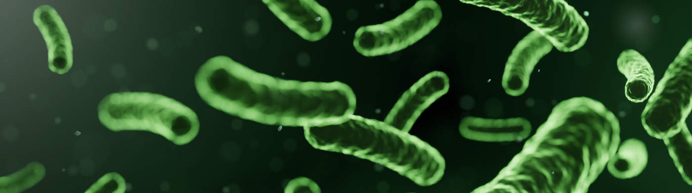 Quand prendre les probiotiques ?