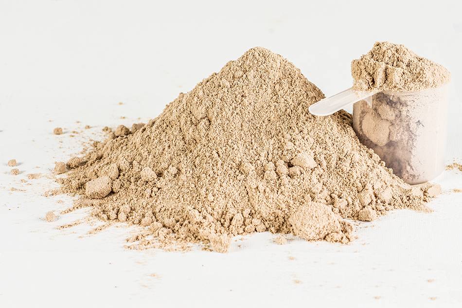 Tout sur la protéine de lactosérum BioTechUSA